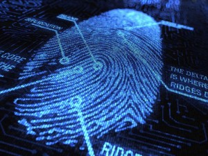 fingerprint