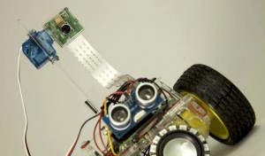 raspberry Pi bot