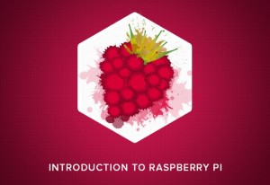 Raspberry Pi Hacker Bundle
