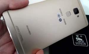 ascend mate