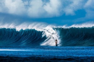 robbie maddison