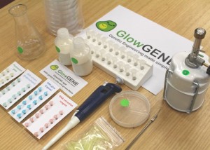 GlowGene
