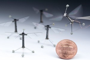 Harvard RoboBee