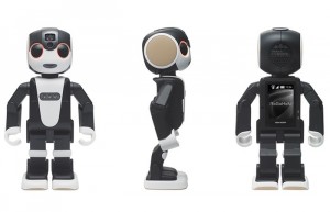 RoboHon Smartphone