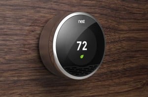 Nest