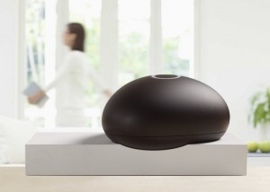 Dojo Linux Home Security System