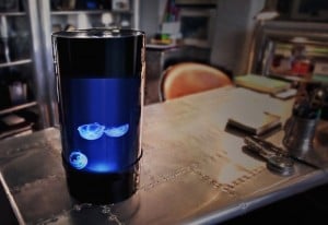 Jellyfish Aquarium