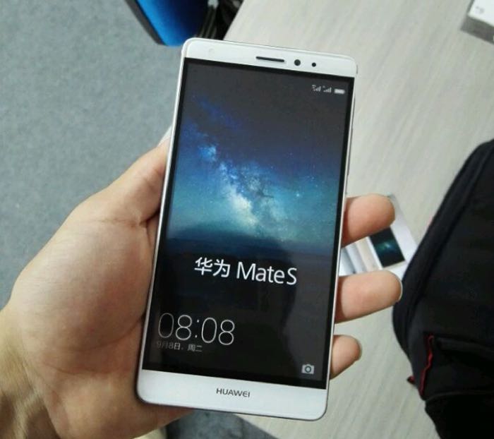 mate-s-1