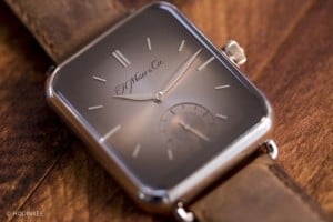 Swiss Alp Watch