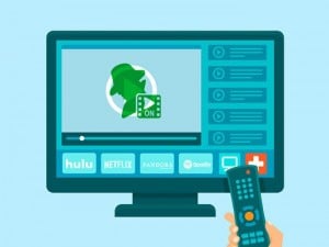 ibDNS SmartDNS Lifetime Subscription