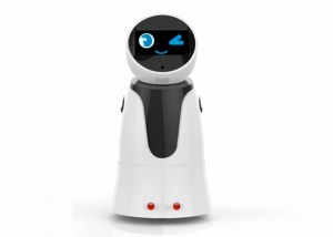 Aijia Pro Smart Robot