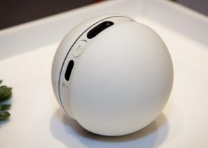 LG Rolling Bot