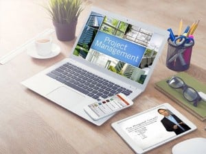 Project Management Professional (PMP)