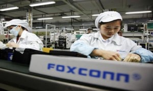 foxco0nn sharp