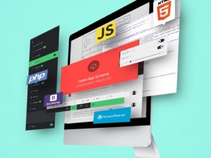 Complete Web Developer Course