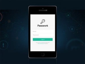 Passwork Lifetime Subscription