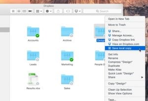Dropbox Project Infinite