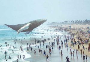 Magic Leap