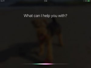 Siri Lawsuit