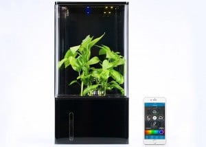 Smartphone Controlled Desktop Greenhouse