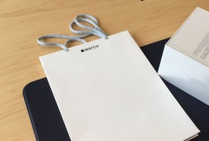 apple watch bag