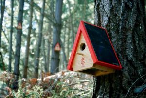 3G Arduino Bird House