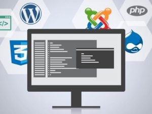 OSTraining Developer Courses