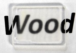 transparent wood