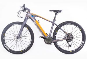 All-Go Carbon Fiber Electric Bike