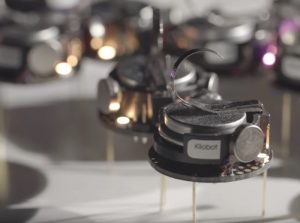 Kilobot Swarming Robots