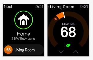 Nest Apple Watch
