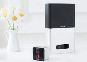 Play With Your Pets Remotely