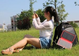 Powerleaf Intelligent Solar Charger-2
