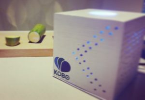 Raspberry Pi 3 Powered Kobo Personal Virtual Assistant