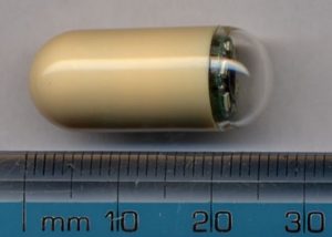 Edible Batteries