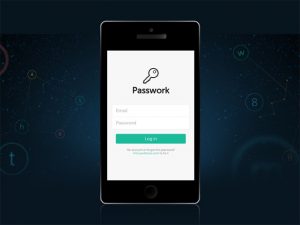 Passwork 1-Yr Subscription