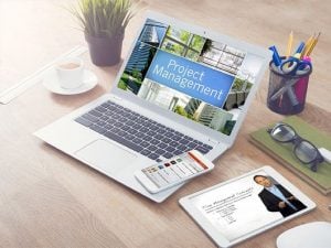 Project Management Professional