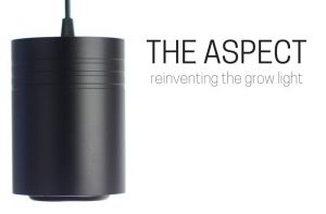 The Aspect, The Growing Light Reinvented