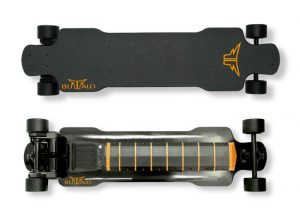 Dual Motor Electric Skateboard