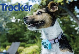 PawTracker GDM, Wi-Fi And GPS Pet Tracker