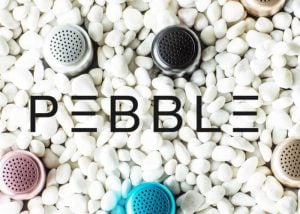 Pebble Wireless Speaker