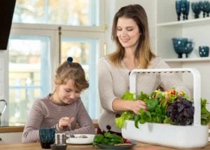 Smart Garden