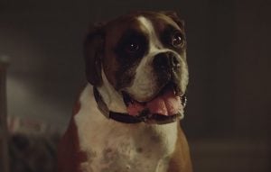John Lewis Christmas Advert