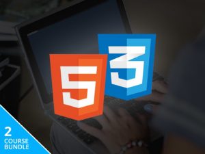 The Dynamic Web Design Bundle