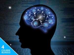 Get The Machine Learning & AI for Business Bundle