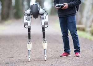 Cassie Walking Robot