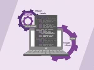 Microsoft Programming Certification Training Bundle