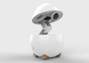 Panasonic Concept Companion Robot