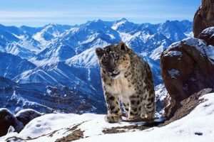 Planet Earth II