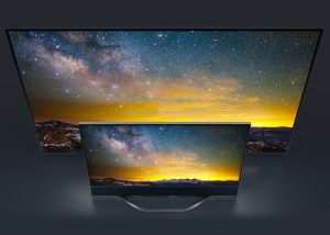 Vizio